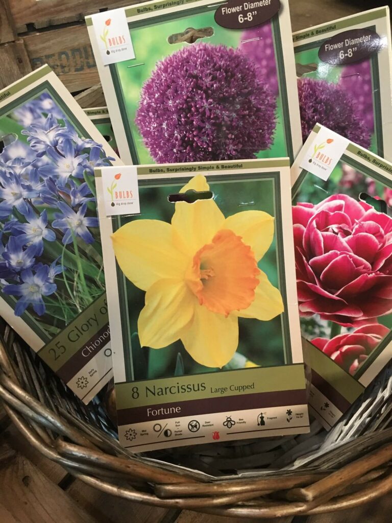 Seeds & Bulbs | Reems Creek Nursery