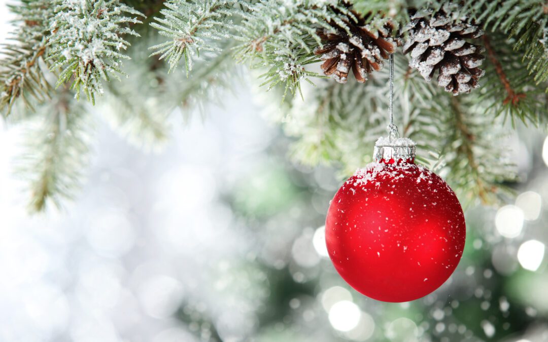 Christmas ornament on tree