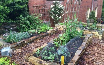 Year-round Vegetable Gardening