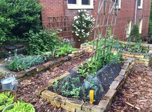 Year-round Vegetable Gardening