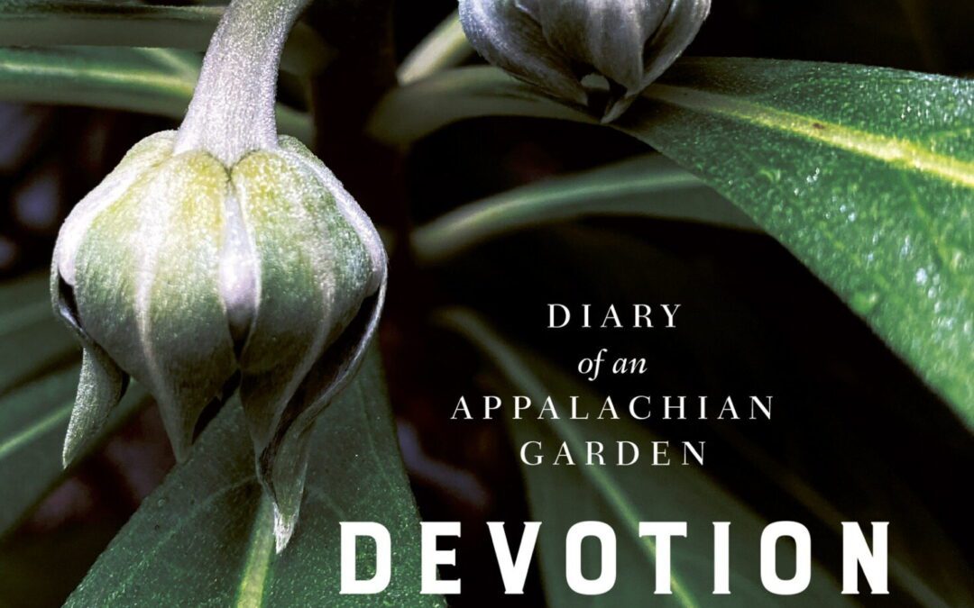 Book cover of Devotion by Mignon Durham