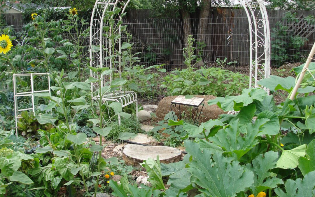 Permaculture for the Backyard Landscape