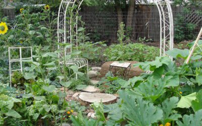 Permaculture for the Backyard Landscape