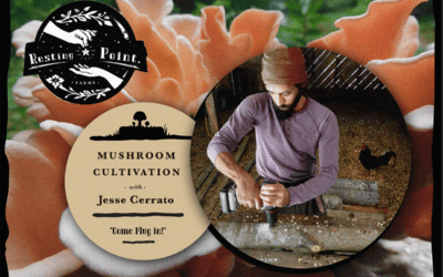 Mushroom Workshop