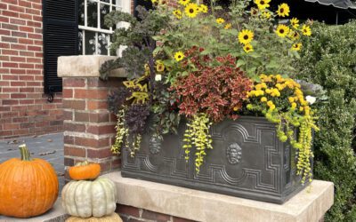 Creating Gorgeous Fall Containers
