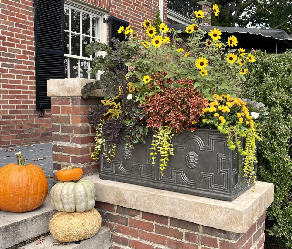 Creating Gorgeous Fall Containers