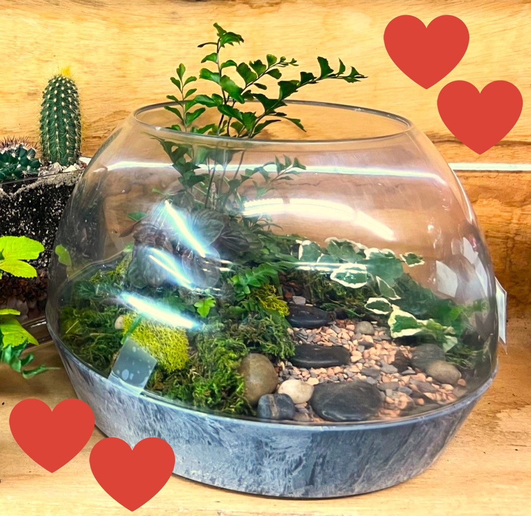 Terrarium Workshop – A Fun Valentine Make & Take!