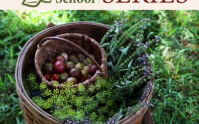 Organic Growers School Spring Gardening Series