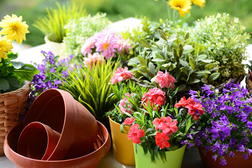 Container Gardening