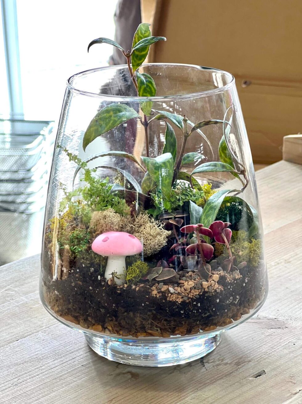 Terrarium Workshop – A Fun Valentine Make & Take | Reems Creek Nursery