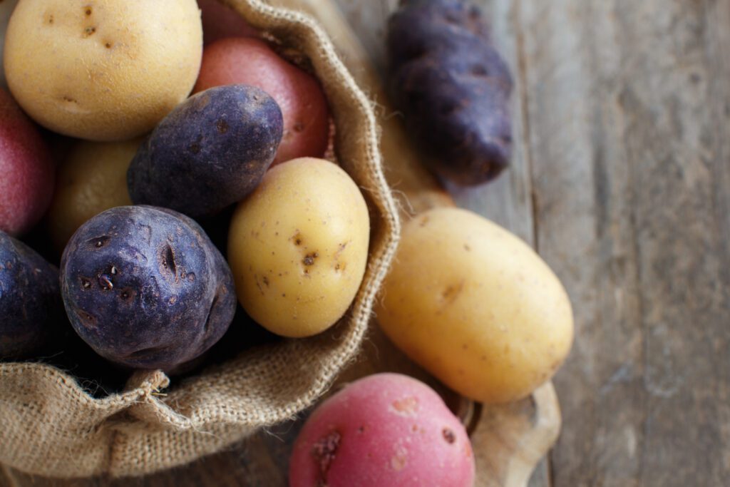 Mixed Potatoes, Growing Potatoes