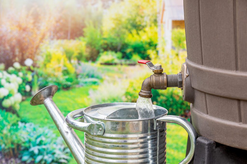 Watering Can