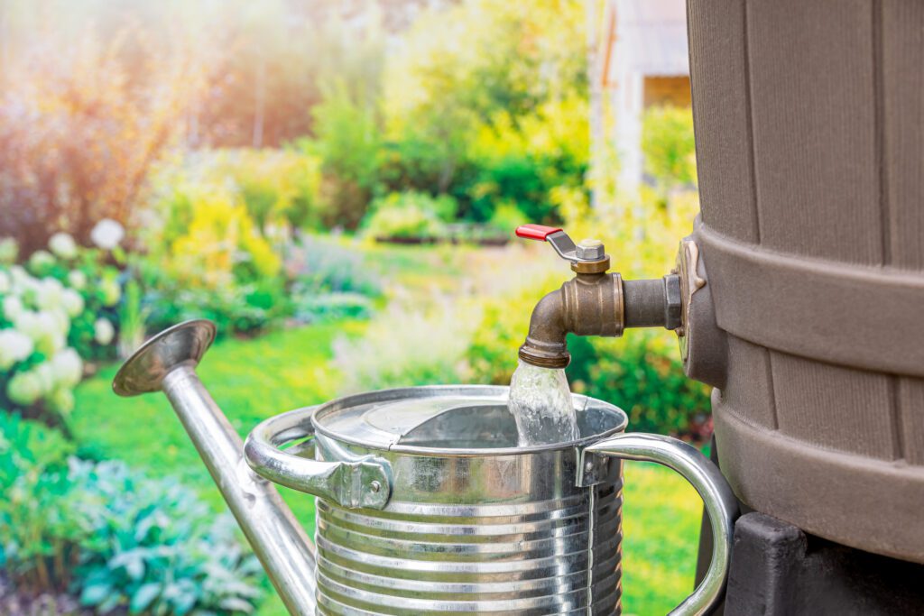 Watering Can and Rain Barrel