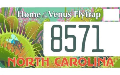 Venus Fly Traps + New NC License Plate!
