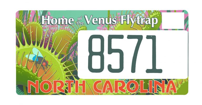 Venus Fly Traps + New NC License Plate!