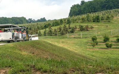 Attending the 75th Anniversary Mountain Horticultural Field Day