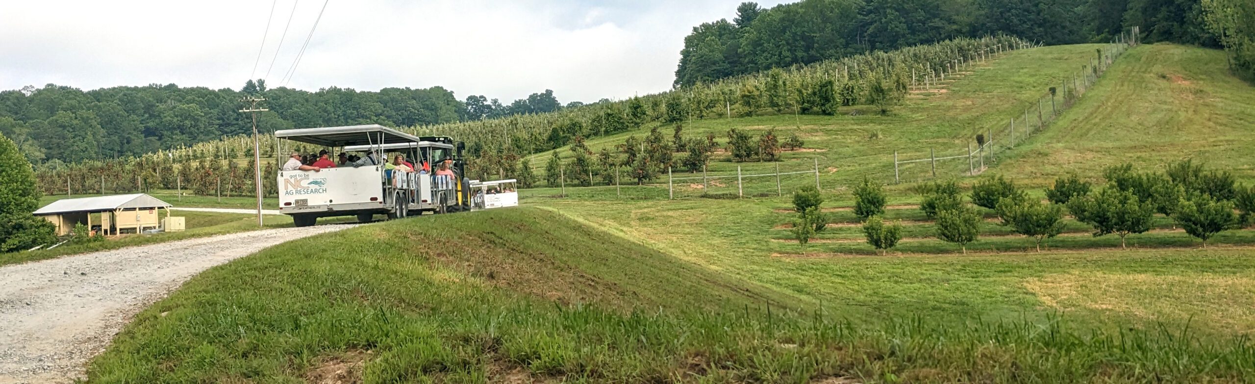 Attending the 75th Anniversary Mountain Horticultural Field Day