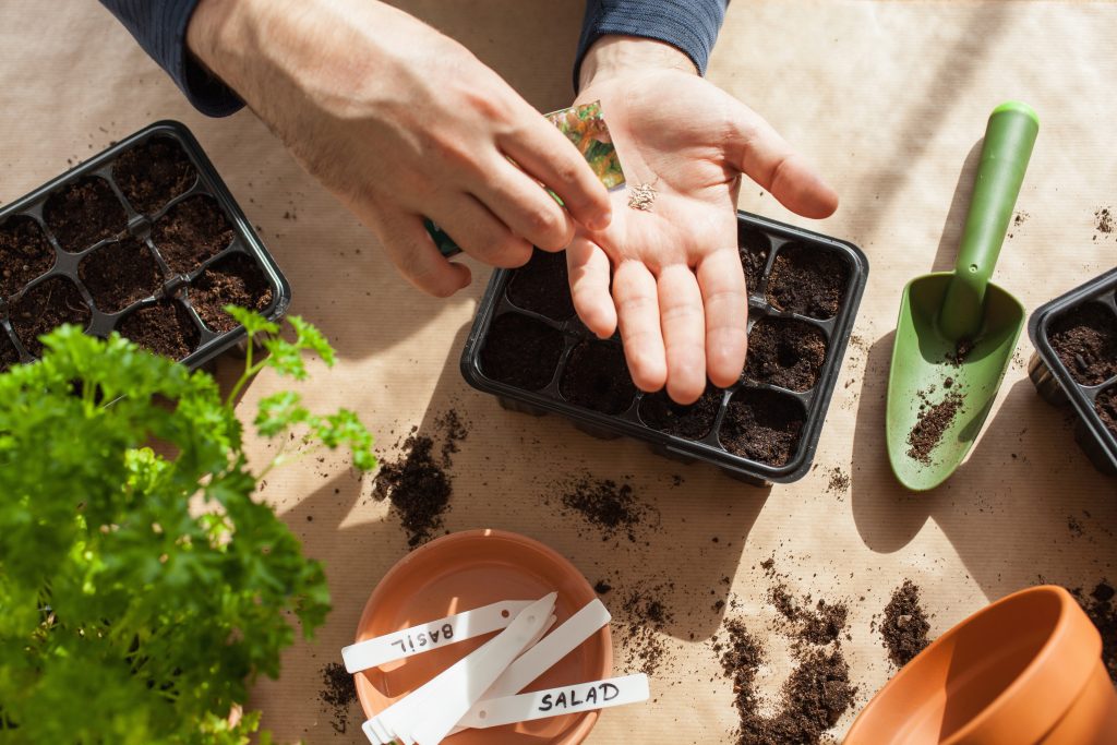 Seed Starting Workshop with Dave and Susan