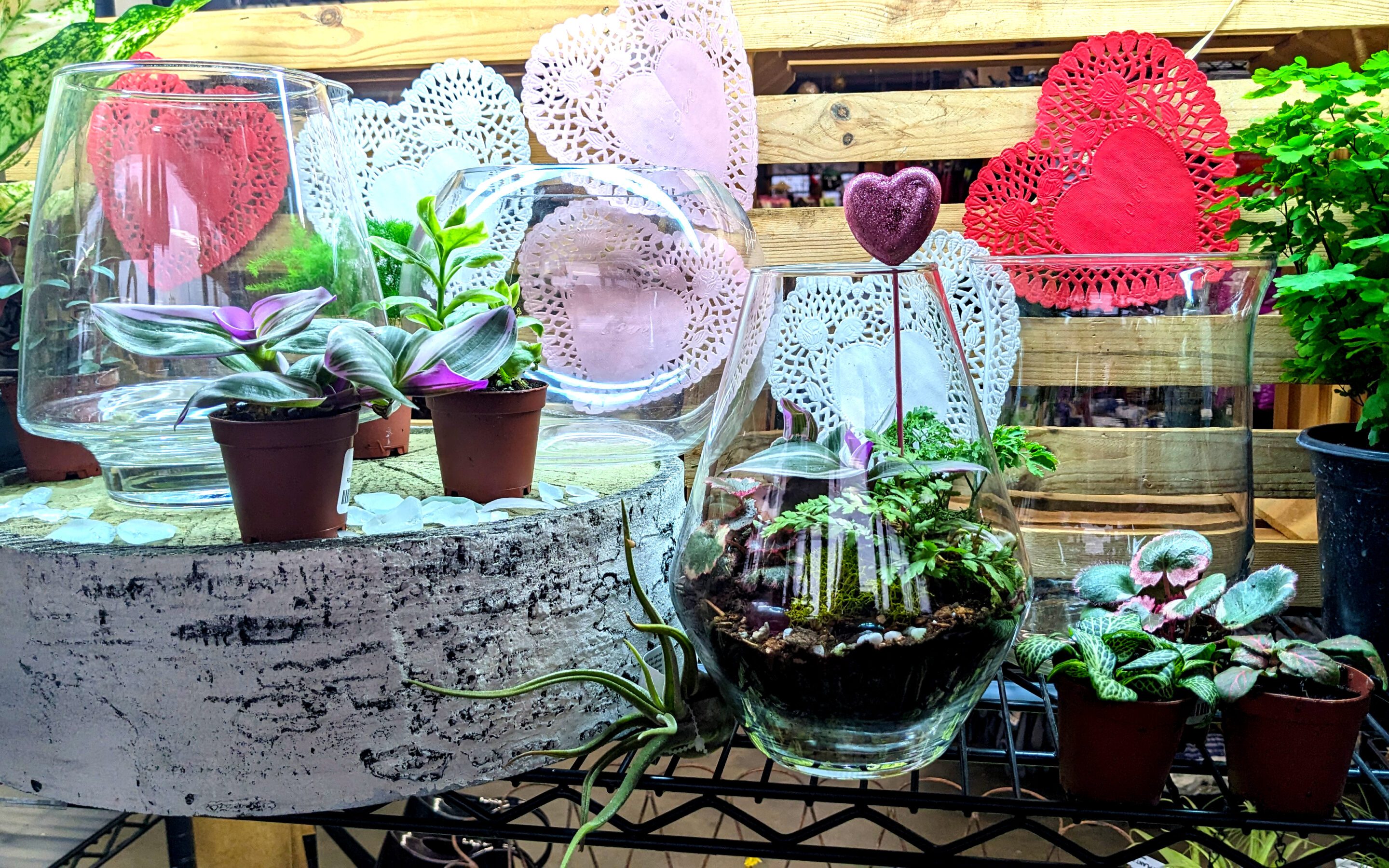 Terrarium Workshop – A Fun Valentine Make & Take – 2025