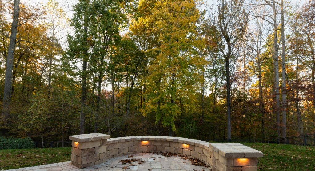 backyard with forest