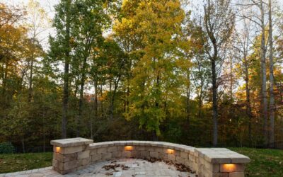 Backyard Forestry