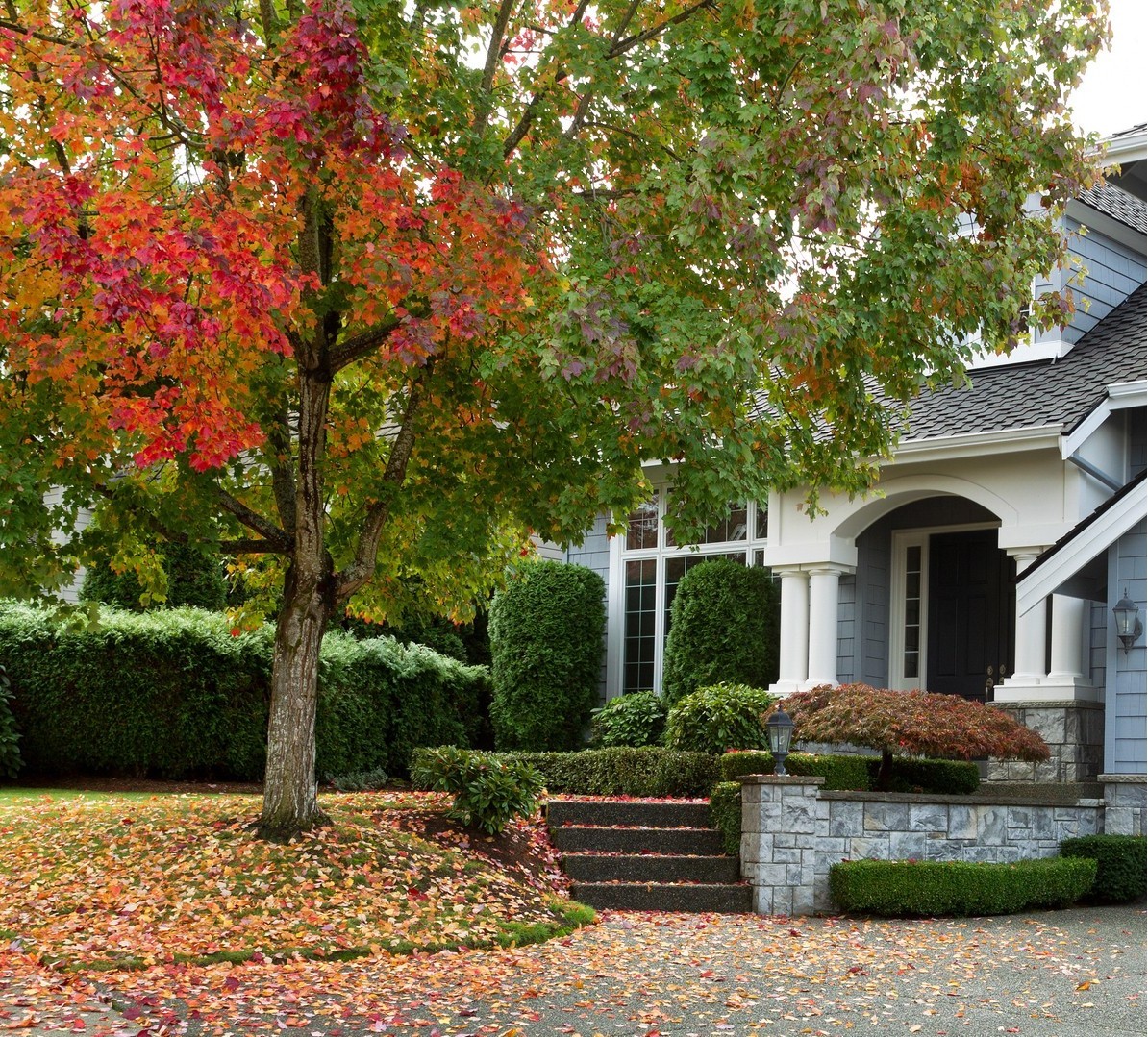 Preparing Your Garden for Fall & Winter