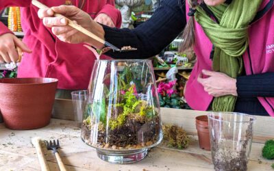 Terrarium Workshop – A Fun Valentine Make & Take!