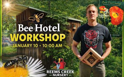 Bee Hotel Workshop: Supporting Native Bees