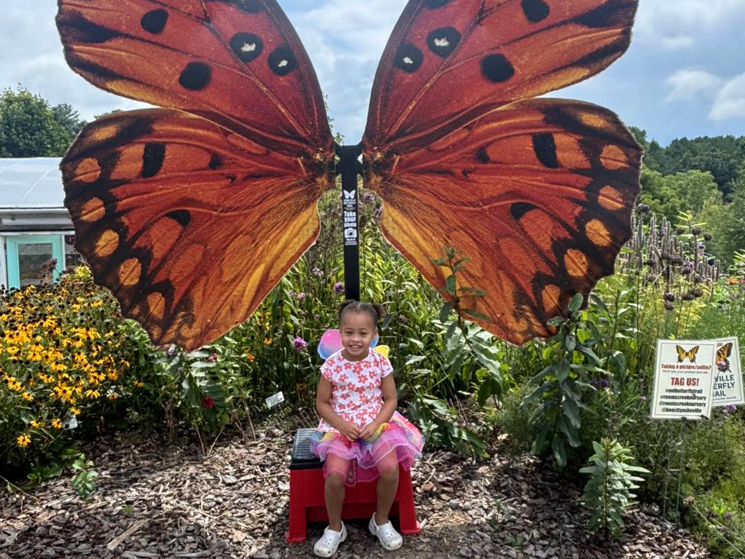 Shade Plants for Pollinators