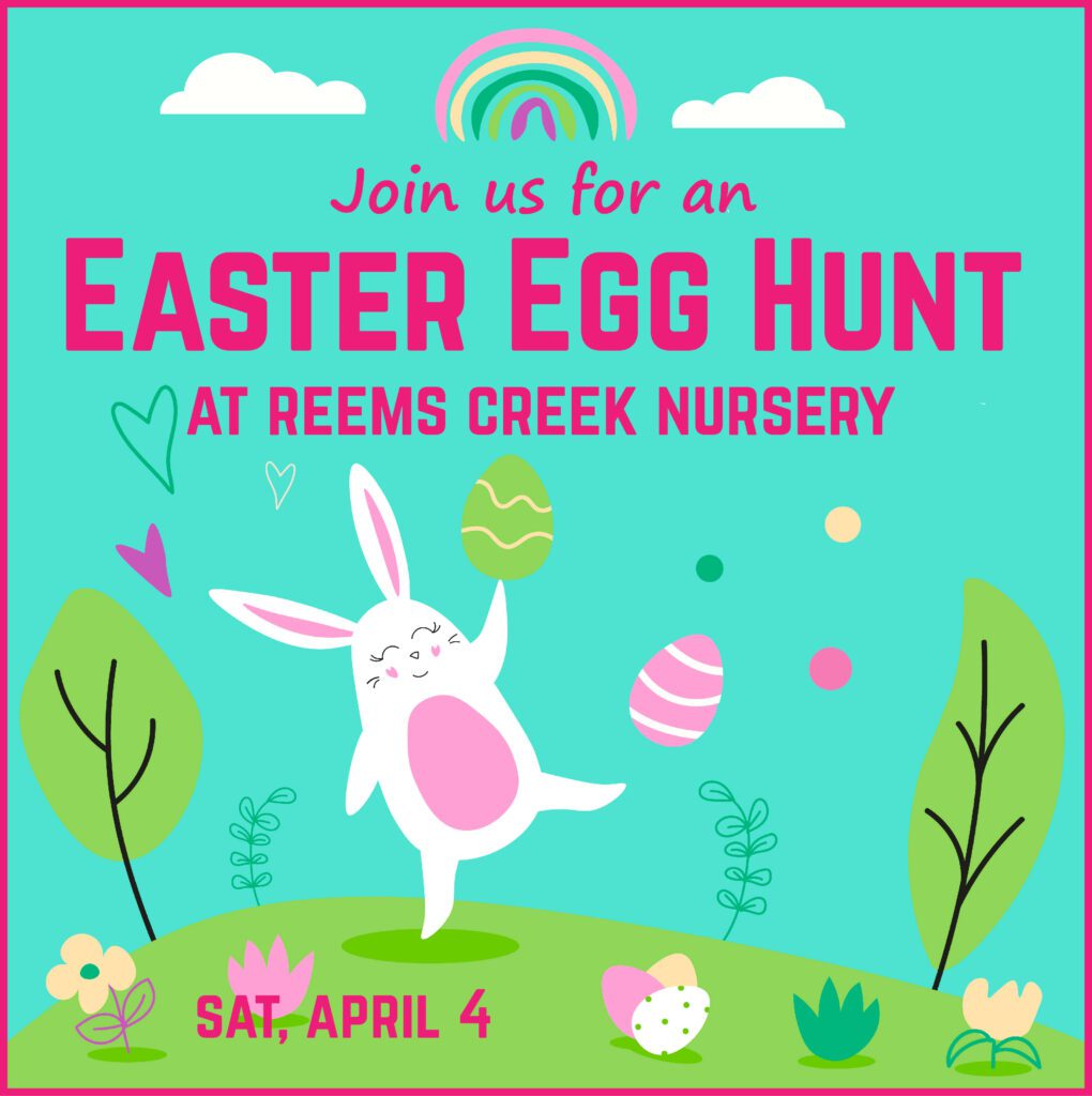 Easter Egg Hunt