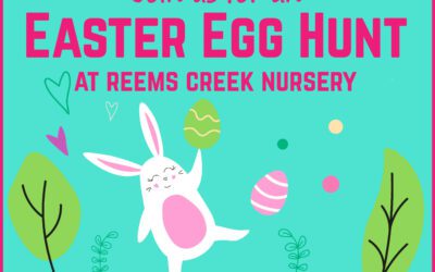 Easter Egg Hunt – Join Us for the Fun!