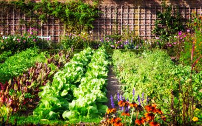 The Biodiverse Vegetable Garden
