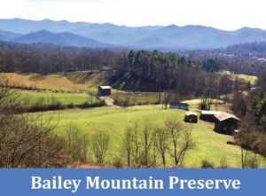 Bailey Mountain Preserve
