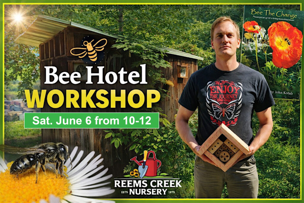 Bee Hotel Workshop with John Kotab