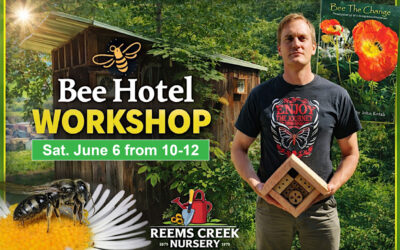 Build a Bee Hotel: Workshop Supporting Native Bees