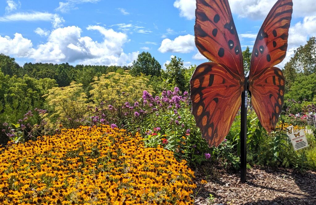 Pollinator Garden at Reems Creek Nursery