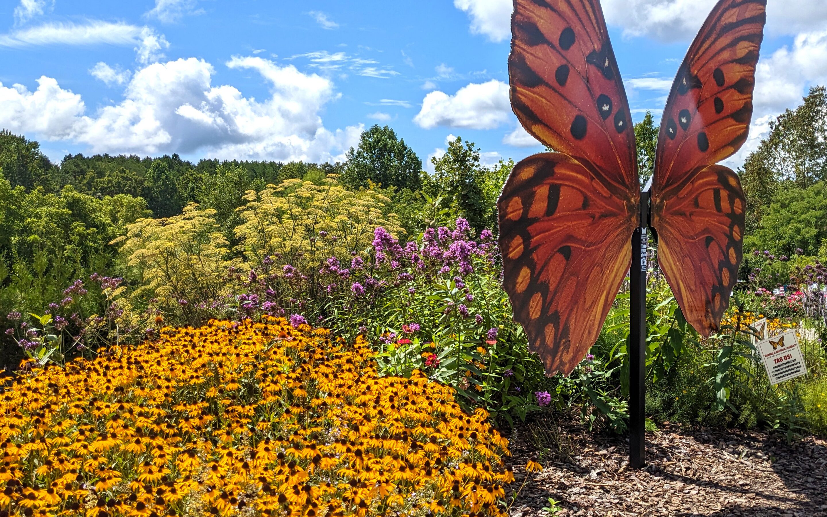 Pollinator Garden Tour at Reems Creek Nursery – 1 PM