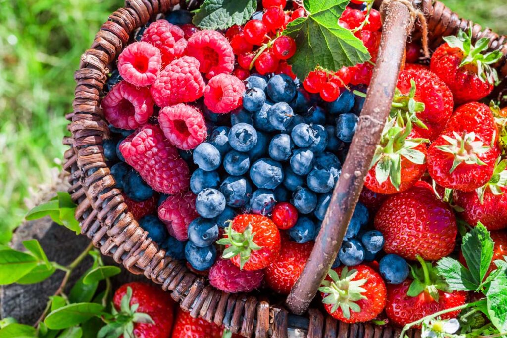 basket of blueberries, raspberries and strawberries