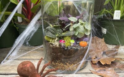 Spooky Terrarium Workshop – A Halloween Themed Make & Take